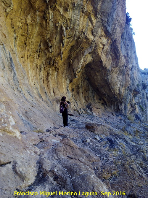 Pinturas rupestres del Abrigo de los Ca�ones IV - Pinturas rupestres del Abrigo de los Ca�ones IV. 