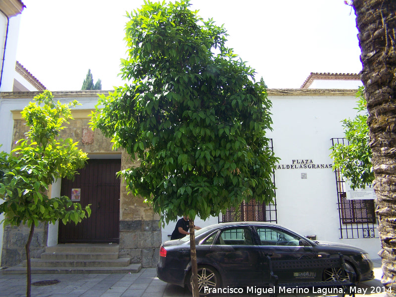 Casa de los Caballeros de Santiago - Casa de los Caballeros de Santiago. 