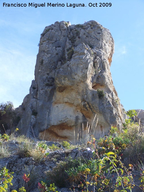 Canjorro - Canjorro. 