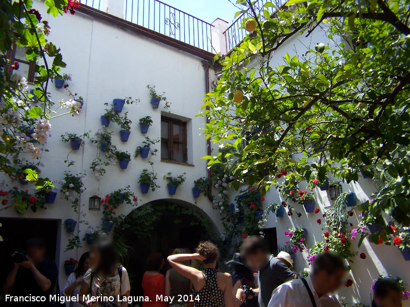 Casa de la Calle Don Rodrigo n 7 - Casa de la Calle Don Rodrigo n 7. Patio