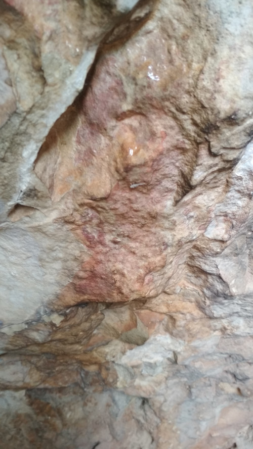 Pinturas rupestres de la Cueva de Ro Fro - Pinturas rupestres de la Cueva de Ro Fro. 