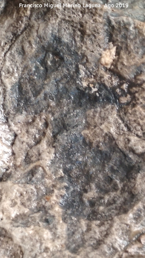Pinturas rupestres de la Cueva de Ro Fro - Pinturas rupestres de la Cueva de Ro Fro. Antropomorfo negro