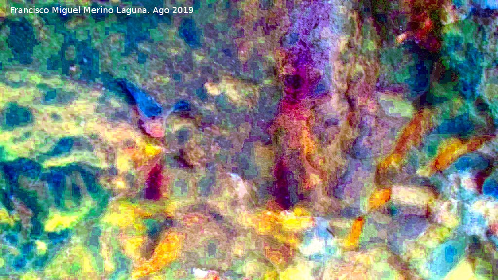 Pinturas rupestres de la Cueva de Ro Fro - Pinturas rupestres de la Cueva de Ro Fro. Tratada con Dstretch