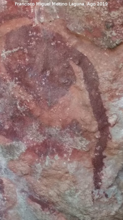 Pinturas rupestres de la Cueva de Ro Fro - Pinturas rupestres de la Cueva de Ro Fro. Detalle de los penachos de la cola del bvido