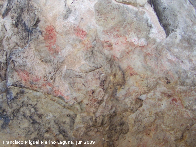 Pinturas rupestres de la Cueva de Ro Fro - Pinturas rupestres de la Cueva de Ro Fro. 