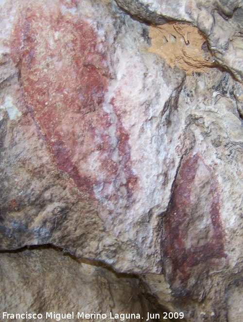 Pinturas rupestres de la Cueva de Ro Fro - Pinturas rupestres de la Cueva de Ro Fro. Figuras ovales