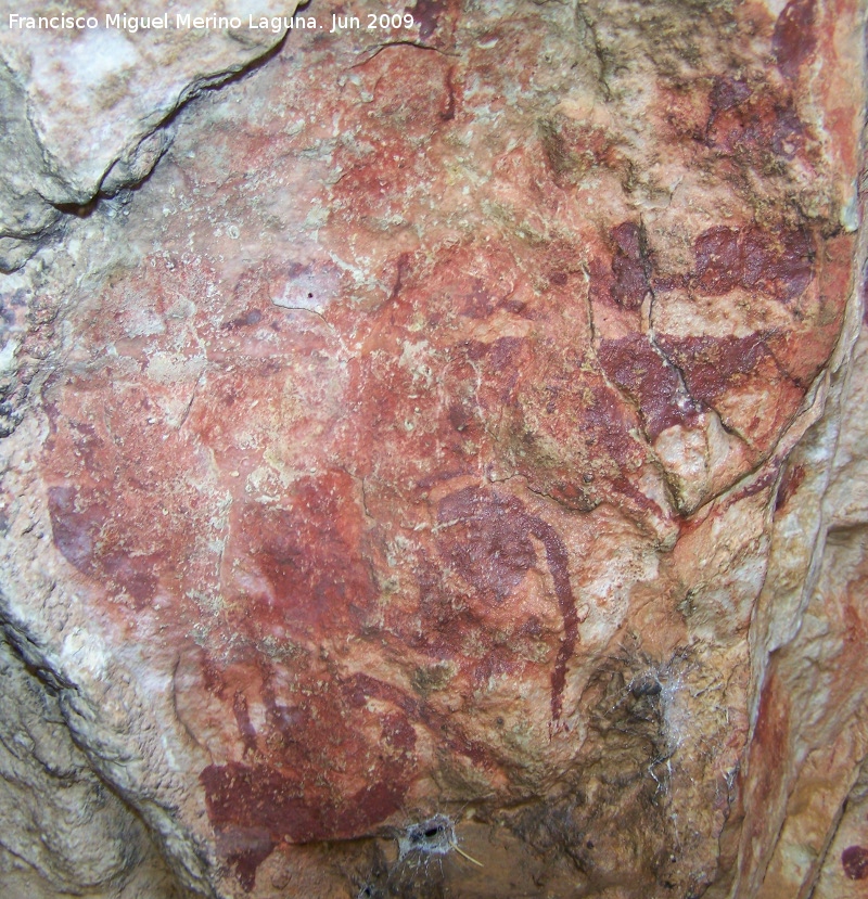 Pinturas rupestres de la Cueva de Ro Fro - Pinturas rupestres de la Cueva de Ro Fro. Bvidos
