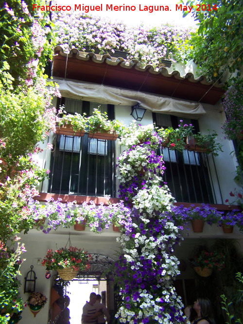 Casa de la Calle Maese Luis n 22 - Casa de la Calle Maese Luis n 22. Patio