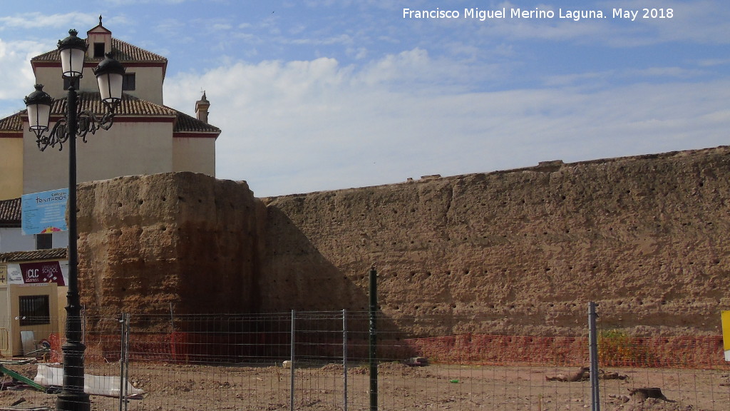 Muralla del Marrubial - Muralla del Marrubial. 