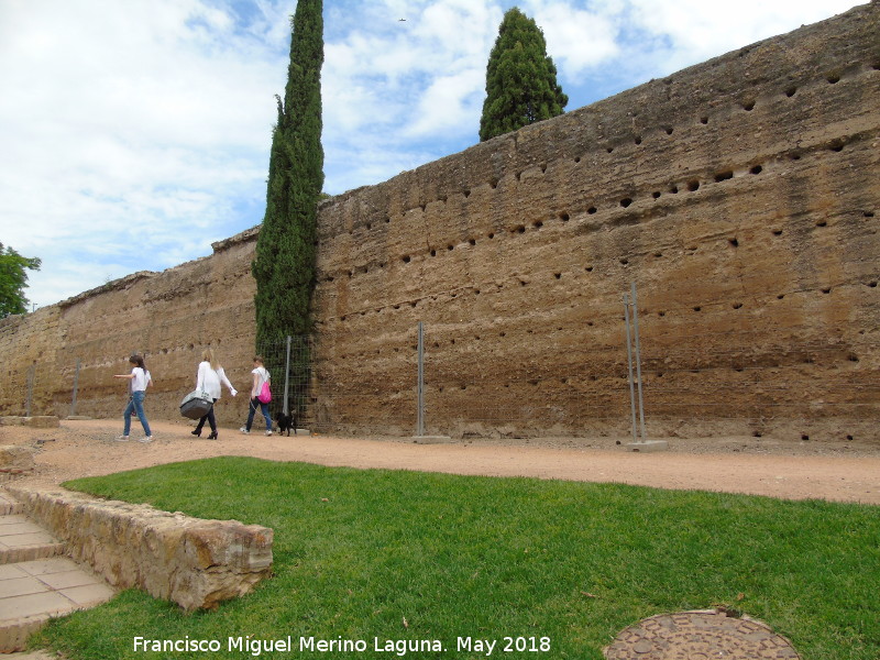 Muralla del Marrubial - Muralla del Marrubial. Intramuros