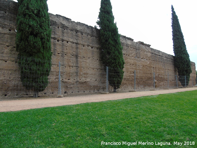 Muralla del Marrubial - Muralla del Marrubial. Intramuros