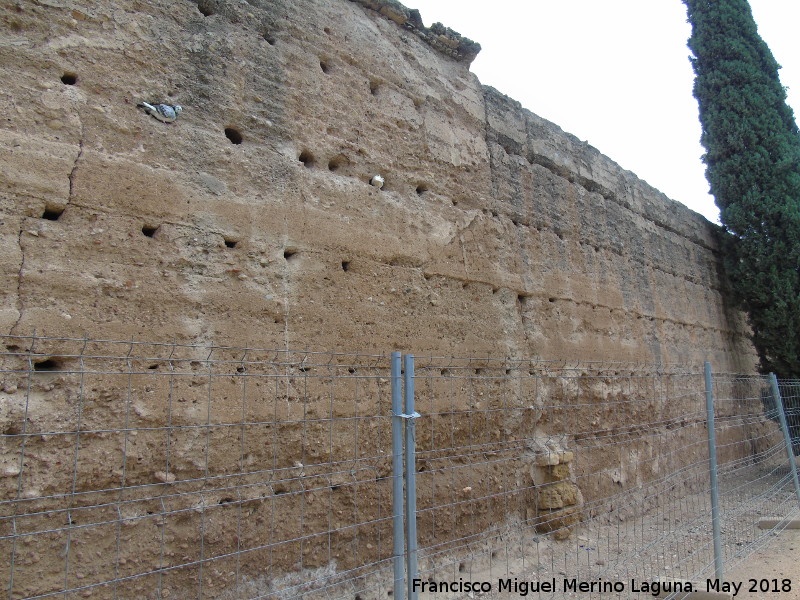 Muralla del Marrubial - Muralla del Marrubial. Intramuros