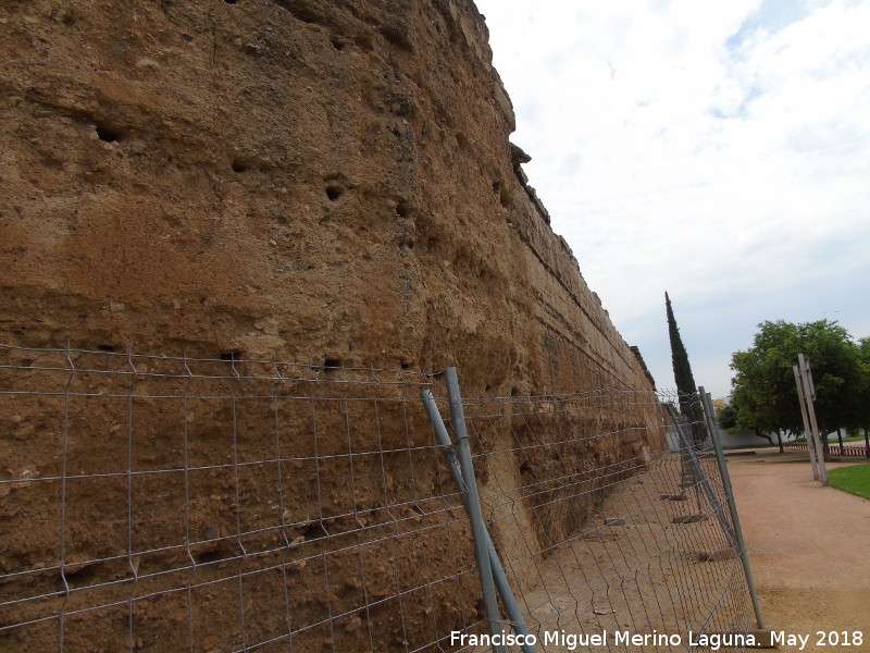 Muralla del Marrubial - Muralla del Marrubial. Intramuros