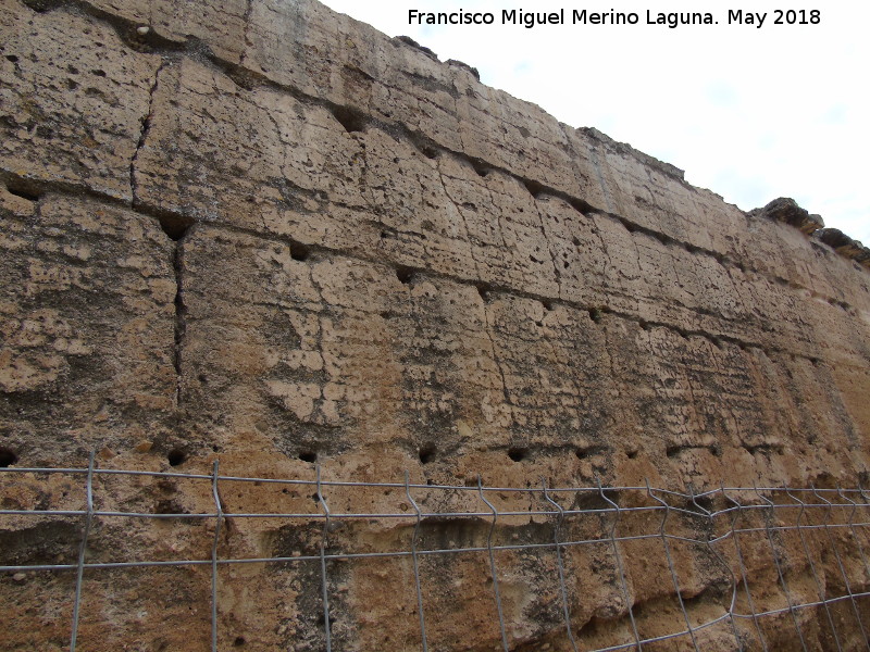Muralla del Marrubial - Muralla del Marrubial. Intramuros