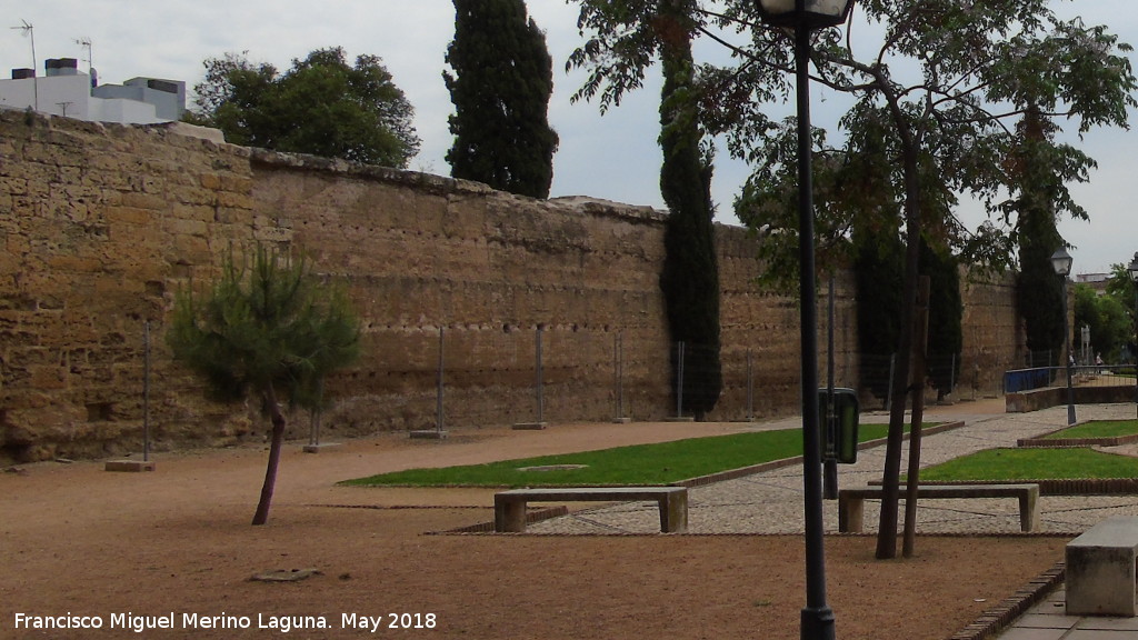 Muralla del Marrubial - Muralla del Marrubial. Intramuros