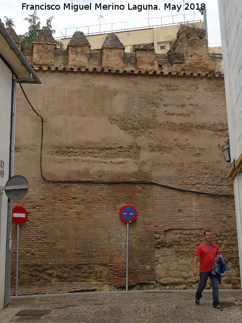 Muralla de la Calle Fernando de Lara - Muralla de la Calle Fernando de Lara. 