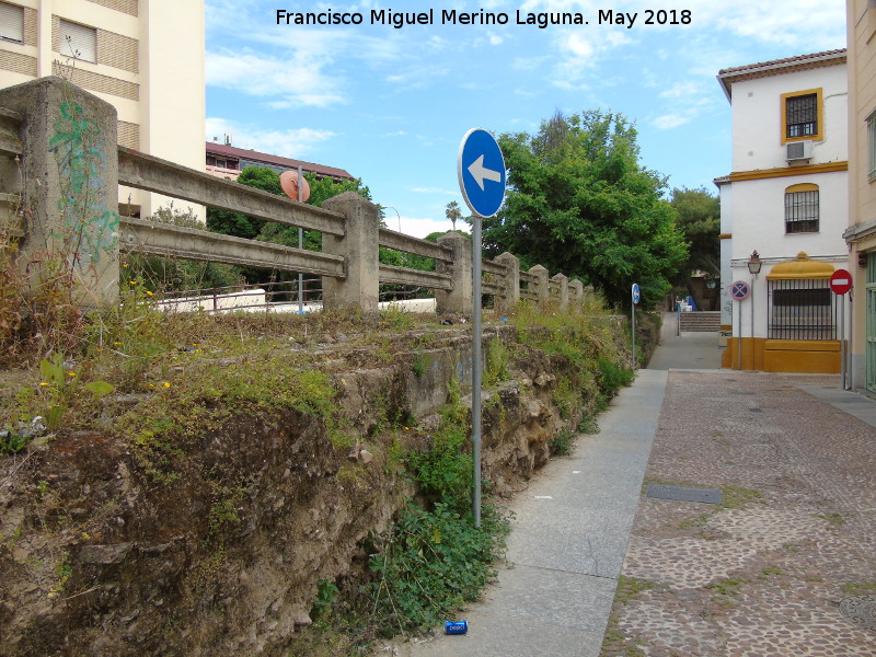 Muralla de la Calle Fernando de Lara - Muralla de la Calle Fernando de Lara. Cimientos de la muralla