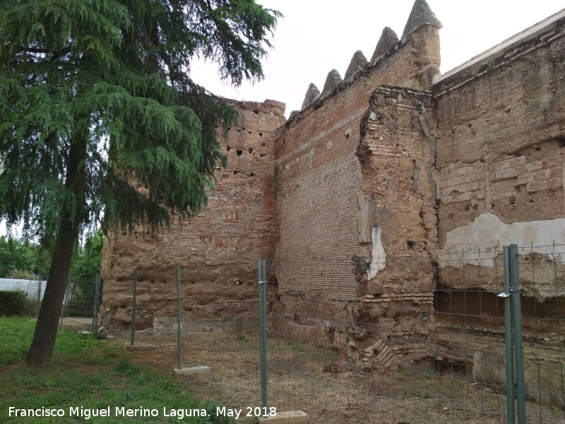 Muralla de la Calle Fernando de Lara - Muralla de la Calle Fernando de Lara. Lienzo almenado junto al Torren de San Antonio de Padua