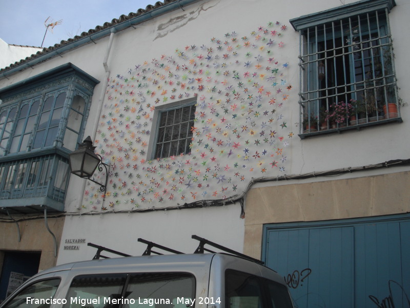 Casa de la Calle Muoz Capilla n 15 - Casa de la Calle Muoz Capilla n 15. Flores