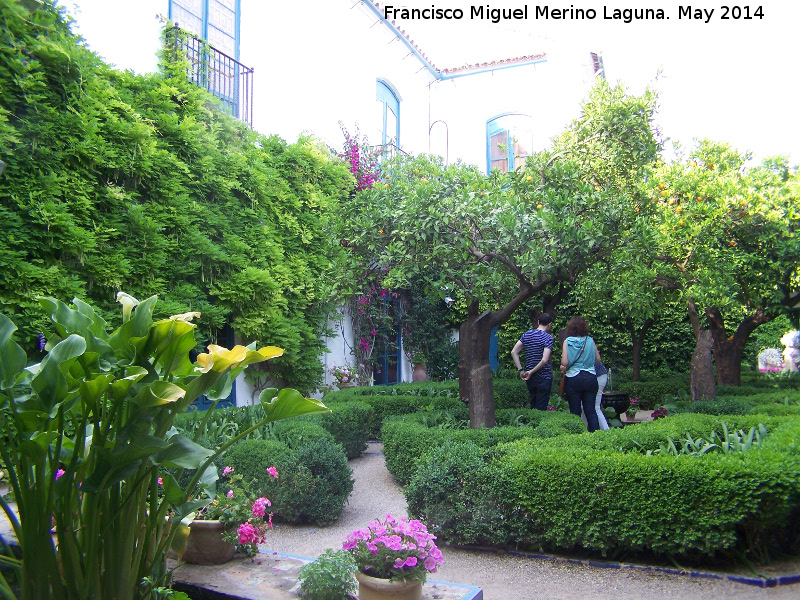 Palacio de Viana. Patio de los Naranjos - Palacio de Viana. Patio de los Naranjos. 