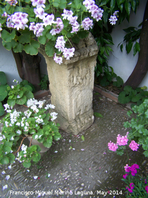 Palacio de Viana. Patio de las Rejas - Palacio de Viana. Patio de las Rejas. Pedestal