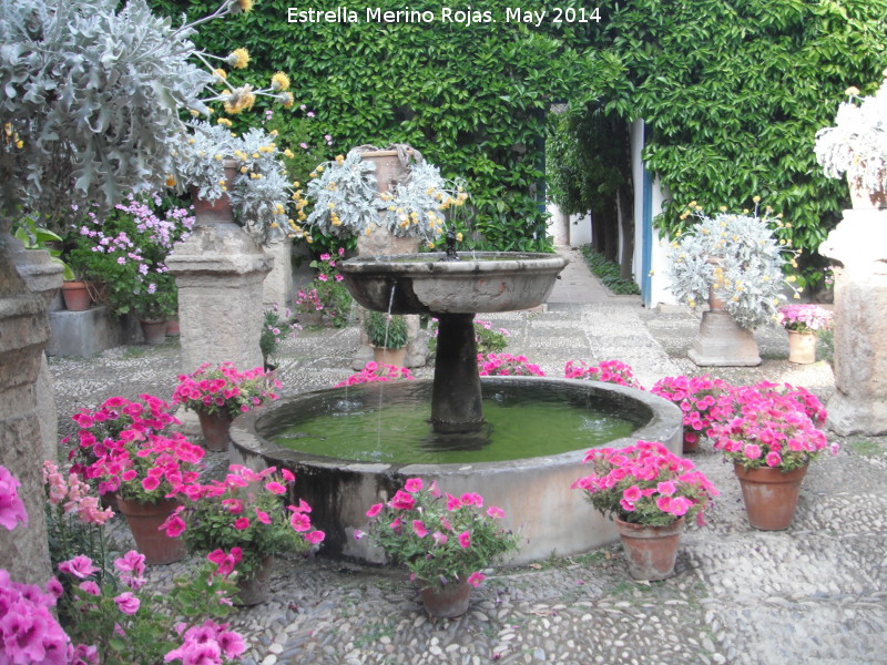 Palacio de Viana. Patio de las Rejas - Palacio de Viana. Patio de las Rejas. Fuente