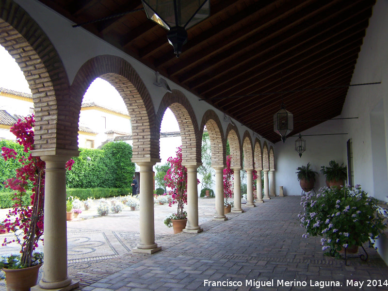 Palacio de Viana. Patio de las Columnas - Palacio de Viana. Patio de las Columnas. Galera