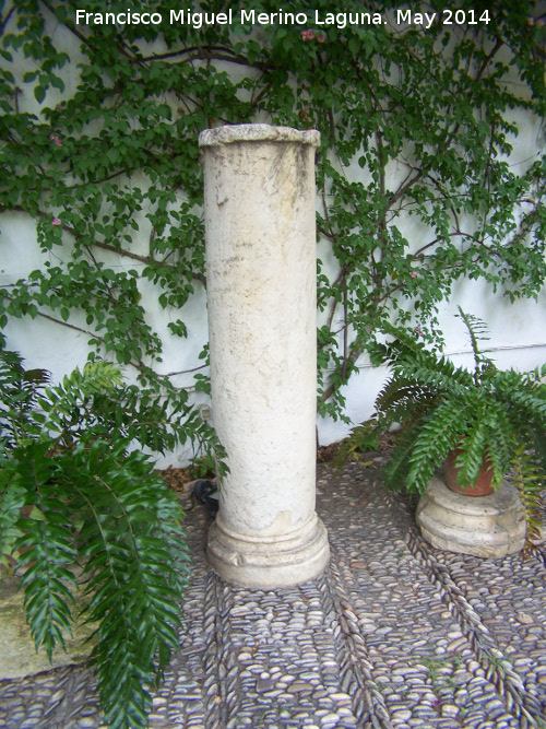 Palacio de Viana. Patio del Pozo - Palacio de Viana. Patio del Pozo. Columna