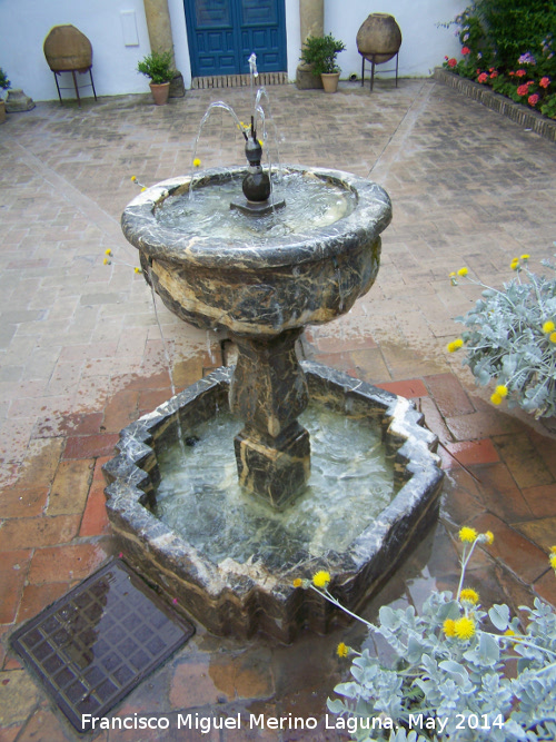 Palacio de Viana. Patio de los Jardineros - Palacio de Viana. Patio de los Jardineros. Fuente