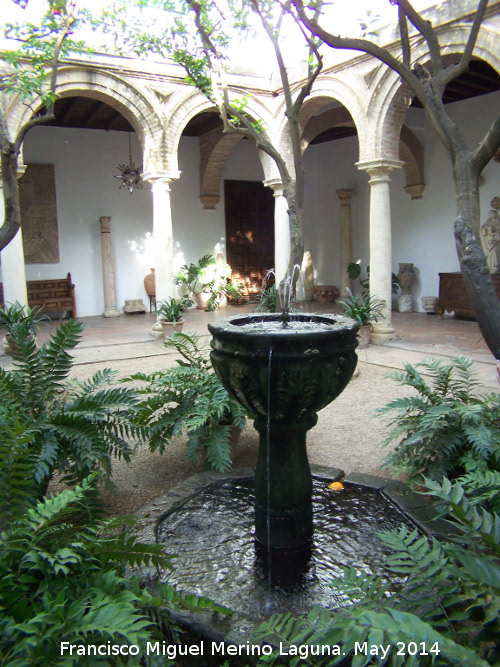 Palacio de Viana. Patio de la Capilla - Palacio de Viana. Patio de la Capilla. Fuente