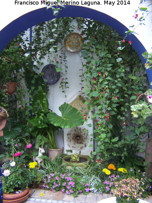 Casa de la Calle Chaparro n 3 - Casa de la Calle Chaparro n 3. Arco