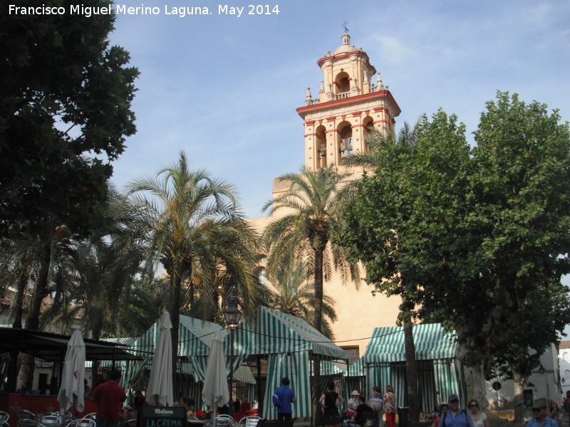 Plaza de San Agustn - Plaza de San Agustn. 