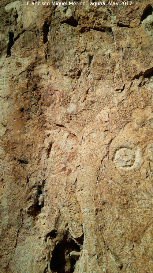 Pinturas y petroglifos rupestres de la Llana II - Pinturas y petroglifos rupestres de la Llana II. Panel