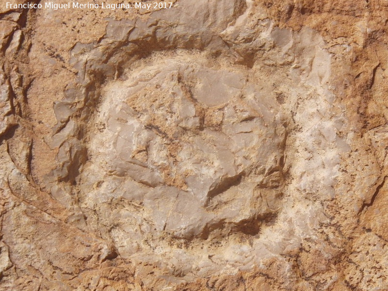 Pinturas y petroglifos rupestres de la Llana II - Pinturas y petroglifos rupestres de la Llana II. 