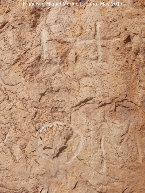 Pinturas y petroglifos rupestres de la Llana II - Pinturas y petroglifos rupestres de la Llana II. Smbolos