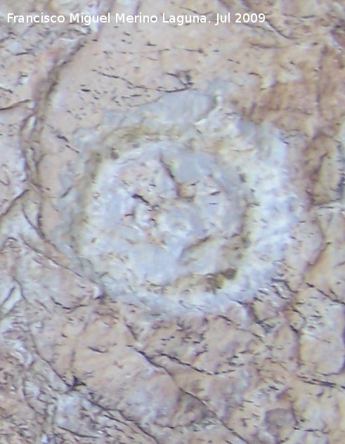 Pinturas y petroglifos rupestres de la Llana II - Pinturas y petroglifos rupestres de la Llana II. Petroglifo muy marcado en forma de crculo del abrigo