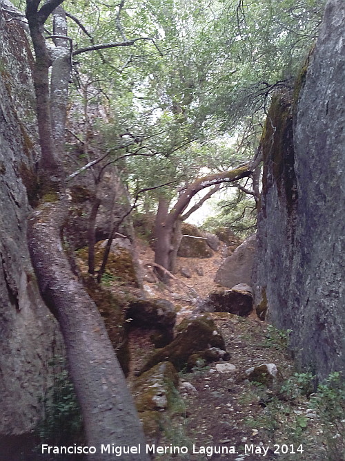 Cueva del Yedrn - Cueva del Yedrn. Pasillo rocoso
