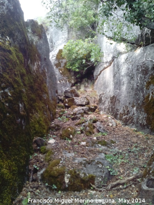 Cueva del Yedrn - Cueva del Yedrn. Pasillo rocoso