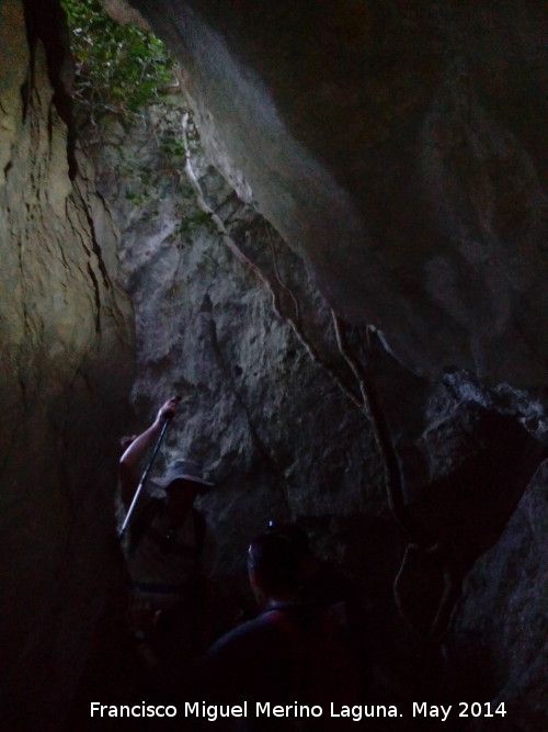 Cueva del Puerto de la Senda - Cueva del Puerto de la Senda. Entrada