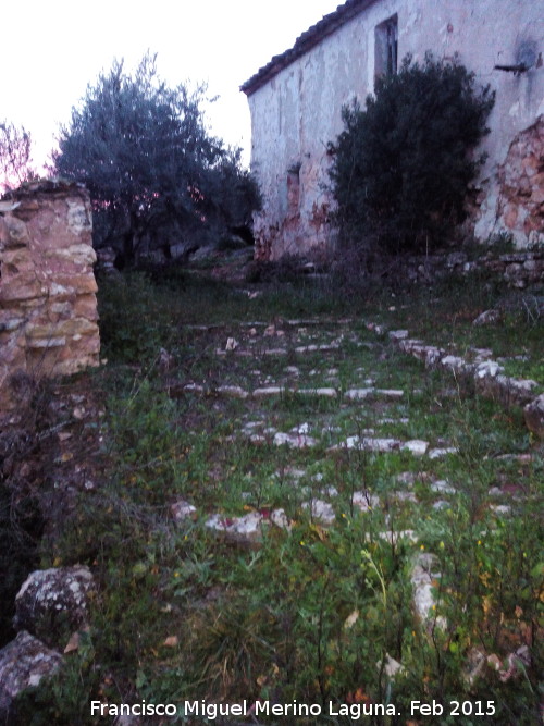 Cortijo de Juana Requena Zamora - Cortijo de Juana Requena Zamora. 