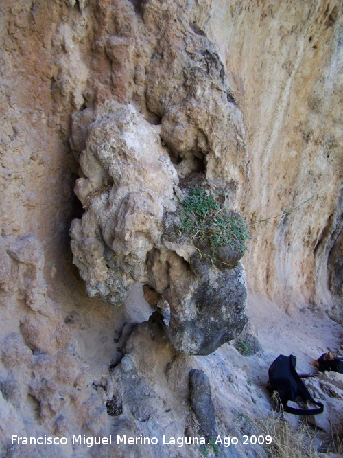 Poyo Bernab - Poyo Bernab. Formacin de piedra del abrigo de la derecha que se asemeja a la cabeza de un dragn