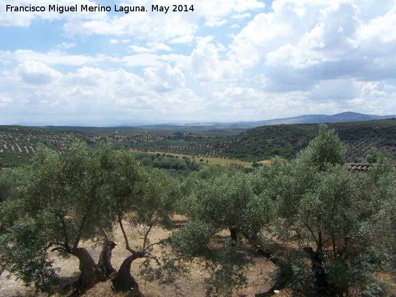 Cortijo de Losilla - Cortijo de Losilla. Vistas