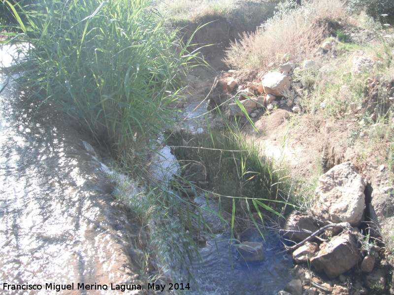 Arroyo de las Caadas - Arroyo de las Caadas. 