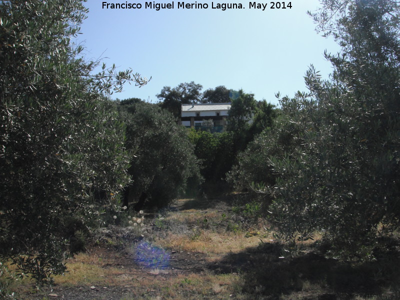 Cortijo de Estrella - Cortijo de Estrella. 