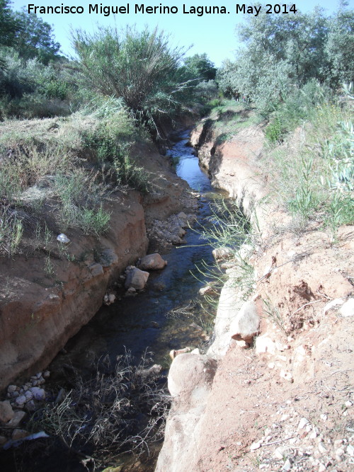 Arroyo de la Alfanja - Arroyo de la Alfanja. 