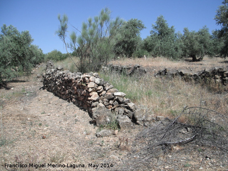 Camino de las Atalayuelas - Camino de las Atalayuelas. Muros de delimitacin