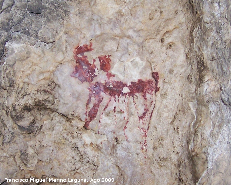 Pinturas rupestres del Poyo Bernab Grupo II - Pinturas rupestres del Poyo Bernab Grupo II. Cabra con multitud de lneas en su vientre