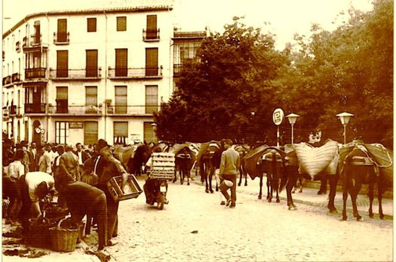 Calle Joaqun Tenorio - Calle Joaqun Tenorio. Aos 50