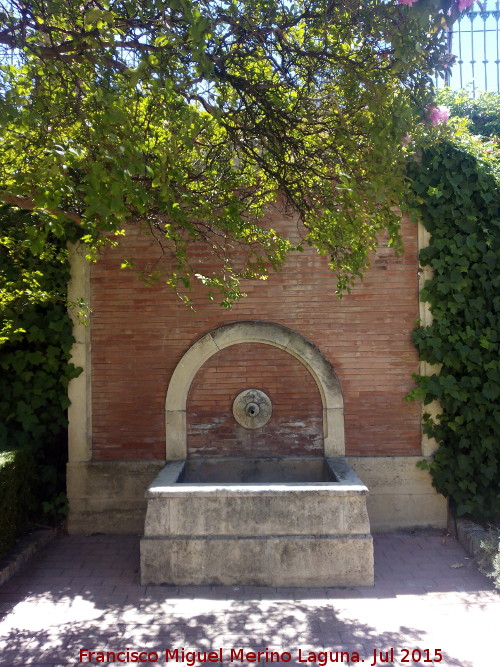 Fuente de la Granja - Fuente de la Granja. 