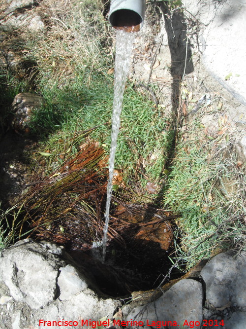 Fuente de la Vereda - Fuente de la Vereda. 